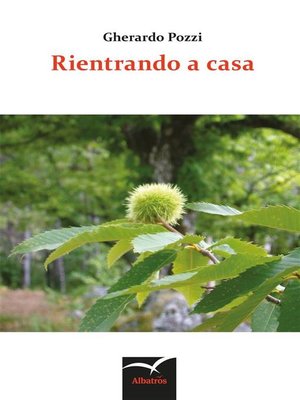 cover image of Rientrando a casa